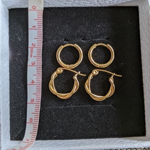 Titanium 18k gold plated earrings